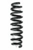 SPIDAN 86802 Coil Spring